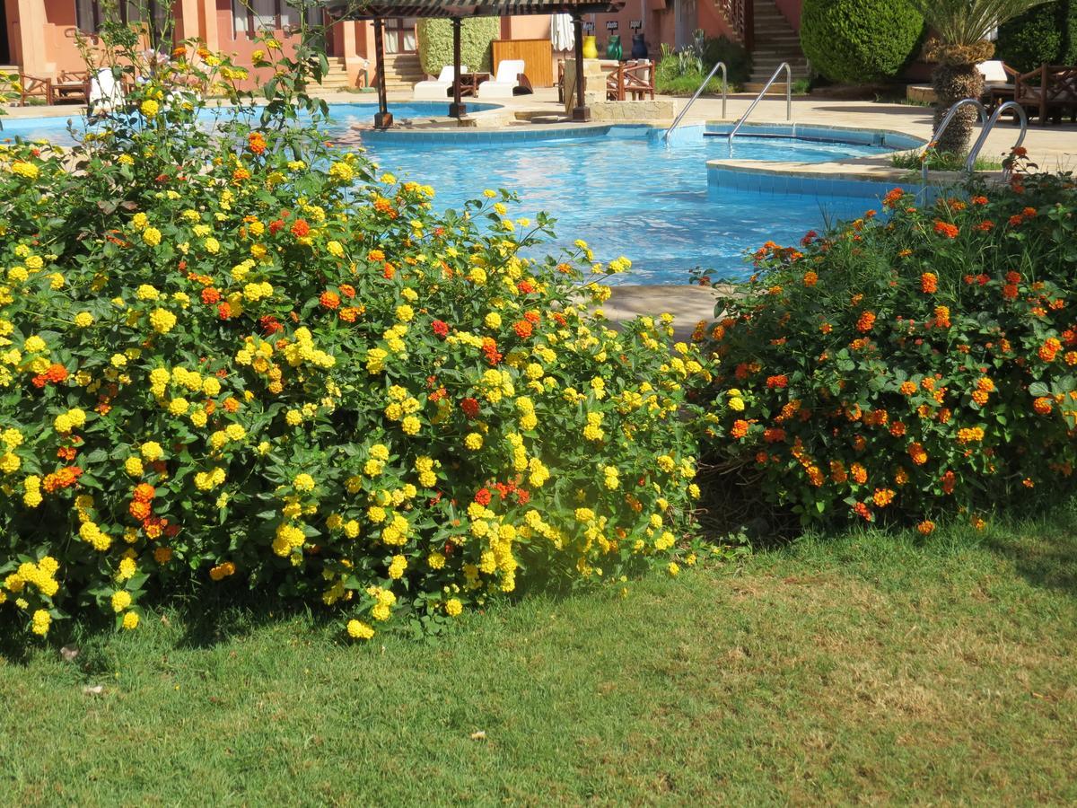 Africana Hotel & Spa Qaryat Shakush Exteriör bild